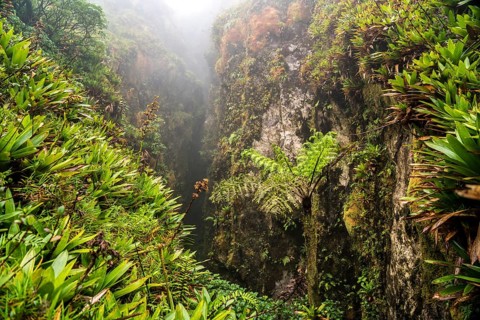 Ravine at La Soufriere Volcano, Basse-Terre, Guadeloupe, France, North America