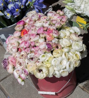 Fresh colorful Flowers put in vases at the florists