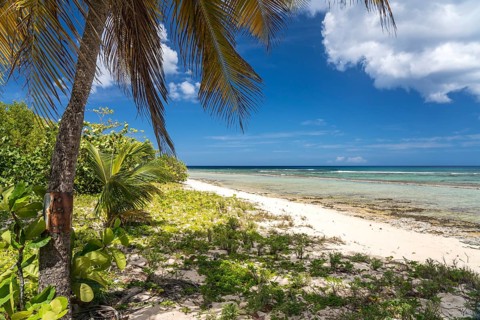 On the beach Plage de la Chapelle, Anse Bertrand, Grande-Terre, Guadeloupe, France, North America