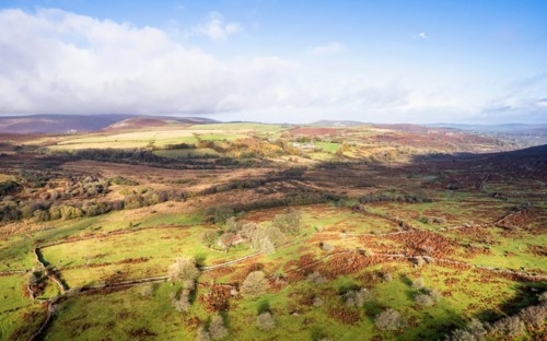 View over Emsworthy Mire from a drone, Haytor Rocks, Dartmoor National Park, Devon, England, UK