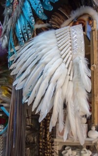 Beautiful bird feathers for decorative purposes