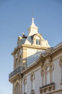 Stork on the tower of Belmarco Palace, landmark in Faro, Algarve, Portugal, Europe
