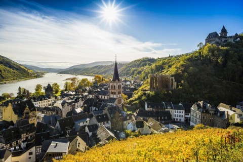 Vineyards and town, St. Peters Parish Church and church ruins of Werner Chapel and Stahleck Castle, Bacharach, Upper Middle Rhine Valley, UNESCO World Heritage Site, Rhine, Rhineland-Palatinate, Germa...
