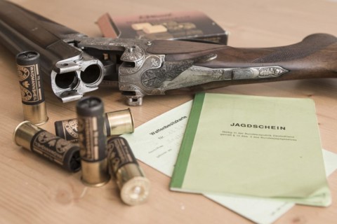 Decorated hunting weapons with ammunition, hunting license and gun ownership card and, Hesse, Germany, Europe