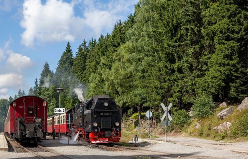 Steam train, Brockenbahn, narrow-gauge railway, Brocken, Harz, Saxony-Anhalt, Germany, Europe