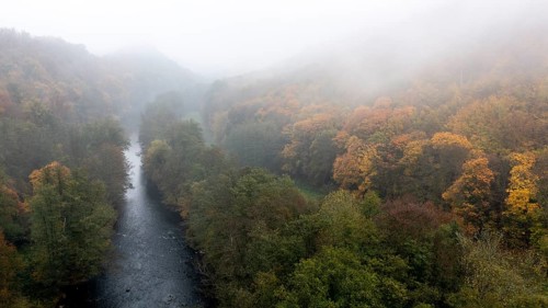 Foggy atmosphere, River Thaya in autumn, National Park Thayatal, Hardegg, Lower Austria, Austria, Europe