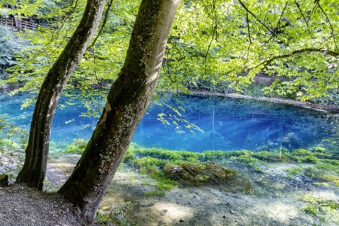 Blautopf, source of the blue, excursion destination in the Swabian Alb, Blaubeuren, Baden-Wuerttemberg, Germany, Europe