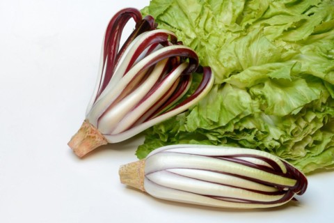 Radicchio in front of endive, Cicorino rosso Tardivo