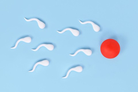 Abstract sperm cells swimming towards egg cell on blue background