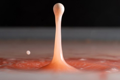 Macro Photography Water Drops