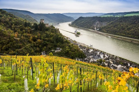Gutenfels Castle and Pfalzgrafenstein Castle, Kaub, Upper Middle Rhine Valley, UNESCO World Heritage Site, Rhineland-Palatinate, Germany, Europe