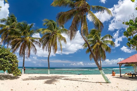 On the beach Plage de la Chapelle, Anse Bertrand, Grande-Terre, Guadeloupe, France, North America