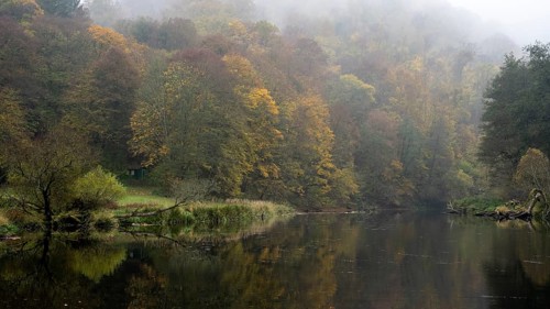 Foggy atmosphere, River Thaya in autumn, National Park Thayatal, Hardegg, Lower Austria, Austria, Europe