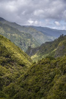 Green forest and hills of Rabacal, Paul da Serra, Madeira, Portugal, Europe