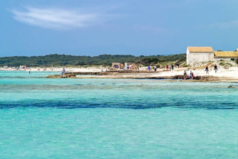 Beach Platja Es Trenc, Municipality of Campos, Majorca, Balearic Islands, Spain, Europe