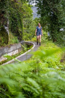 Hiker on Levada do Moinho, Ponta do Sol, Madeira, Portugal, Europe