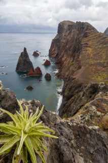Coastal landscape, cliffs and sea, Miradouro da Ponta do Rosto, rugged coast with rock formations, Cape Ponta de Sao Lourenco, Madeira, Portugal, Europe