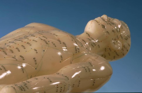 Acupuncture, acupuncture points of the human body, shown on a practice dummy for alternative practitioners
