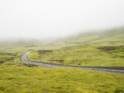 Rough track in the fog, moss-covered volcanic landscape, Laki Crater or Lakagigar, Highlands, South Iceland, Suourland, Iceland, Europe