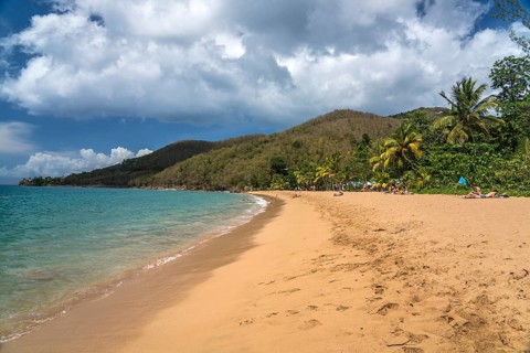 At the beach Plage de Grande Anse near Deshaies in the north of Basse-Terre, Guadeloupe, France, North America