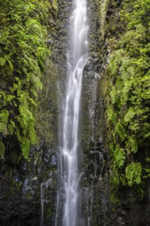 River and waterfall Cascata das 25 Fontes, long exposure, Rabacal, Paul da Serra, Madeira, Portugal, Europe