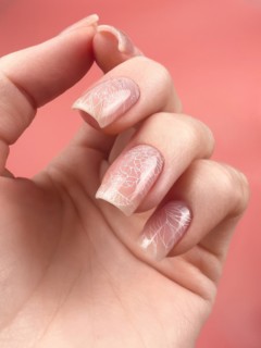 Gentle neat manicure on female hands on a background of dry flowers. Nail design