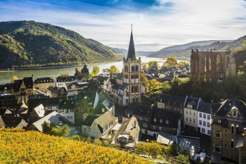 Vineyards and town, St. Peters Parish Church and the ruined Werner Chapel, Bacharach, Upper Middle Rhine Valley, UNESCO World Heritage Site, Rhine, Rhineland-Palatinate, Germany, Europe
