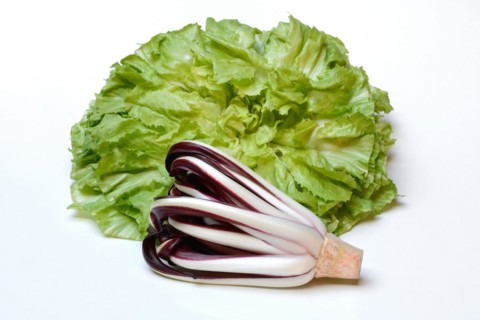 Radicchio in front of endive, Cicorino rosso Tardivo