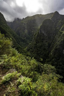View of forested cloud-covered mountains and ravines, Levada do Caldeirao Verde, Parque Florestal das Queimadas, Madeira, Portugal, Europe