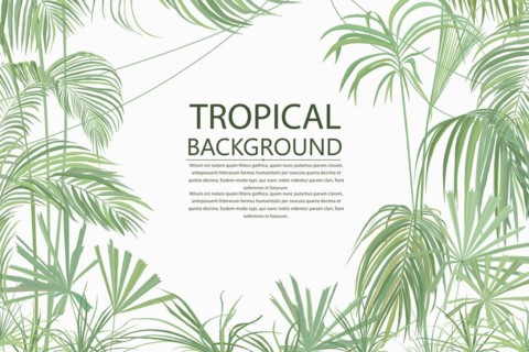 Retro style tropical background, vector text card