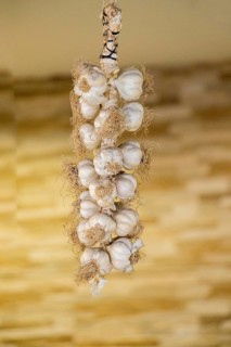 Bunch of garlic bulbs at the market place