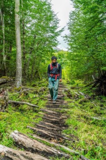 Man walking on a path made of old wooden planks to the lagoon at Cerro Castillo mountain, Cerro Castillo National Park, Aysen, Patagonia, Chile, South America