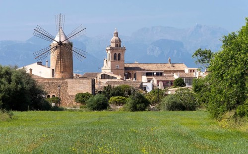 View of Algaida with windmill and church, Majorca, Balearic Islands, Spain, Europe