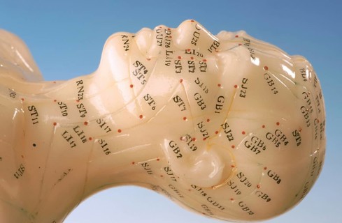 Acupuncture, acupuncture points of the human body, shown on a practice dummy for alternative practitioners