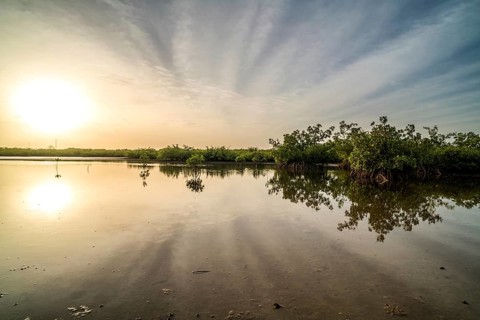 Sunrise by the mangroves, Kathior Island, Missirah, Sine Saloum Delta, Senegal, West Africa, Africa