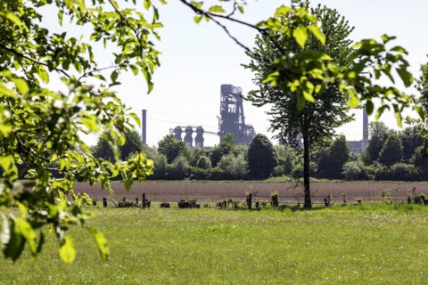 Blast furnace of Huettenwerke Krupp Mannesmann, HKM, behind the orchard meadows along the Rhine, Rheinaue Friemersheim nature reserve, Duisburg, North Rhine-Westphalia, North Rhine-Westphalia, Germany...
