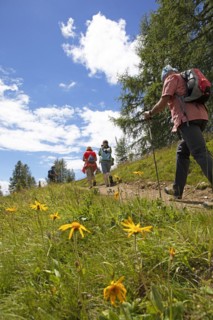 Hiking trail on the Gerlitzen Alpe, Carinthia, Austria, Europe