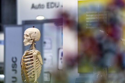 Skeleton of a human body for biology lessons by the manufacturer Hedinger. The trade fair Didacta is Europes largest education trade fair. Stuttgart, Baden-Wuerttemberg, Germany, Europe