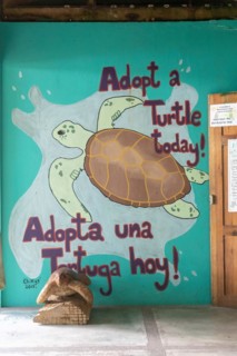 Tortuguero, Costa Rica, The Sea Turtle Conservancy visitor center next to Tortuguero National Park. Giant leatherback, hawksbill, and loggerhead turtles, along with the endangered green turtle, nest a...