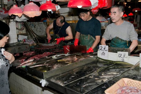Fish stall in Red Market, Macau, China, Asia
