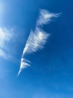 Feather cloud Cirrus Zirrus, ice cloud at high altitude, cloud image like seahorse, Germany, Europe