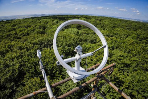 Radiation sensors for recording direct and indirect solar radiation hang from a measuring tower of the Northwest German Forest Research Institute above a deciduous forest in Lower Saxony. Here, resear...