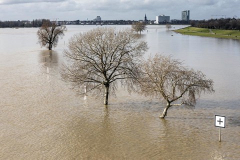 Flooding on the Rhine in Duesseldorf, view towards Oberkassel and Heerdt, flooding, floodplains, Rhine meadows, alluvial deposits, dike, Duesseldorf, North Rhine-Westphalia, Germany, Europe