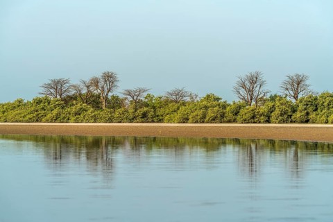Mangrove Landscape, Kathior Island, Missirah, Sine Saloum Delta, Senegal, West Africa, Africa