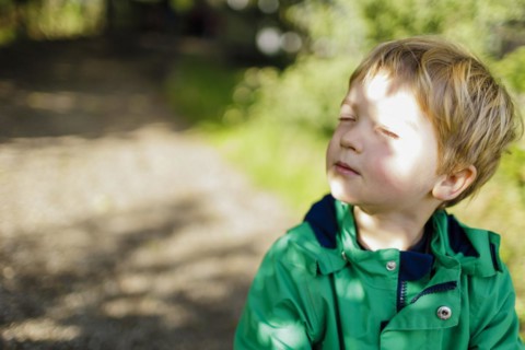 Toddler enjoying autumn sunshine. Bonn, Germany, Europe