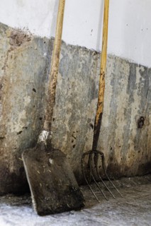 Shovel and pitchfork on a demeter farm in Holzkirchen, 16.06.2022., Holzkirchen, Germany, Europe