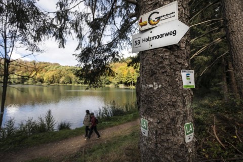 Holzmaar in the Volcanic Eifel, almost completely surrounded by forest, hiking trail, Holzmaarweg, geo-route, lava trail, circular trail, maar, maar, lake, nature reserve, Gillenfeld, Rhineland-Palati...