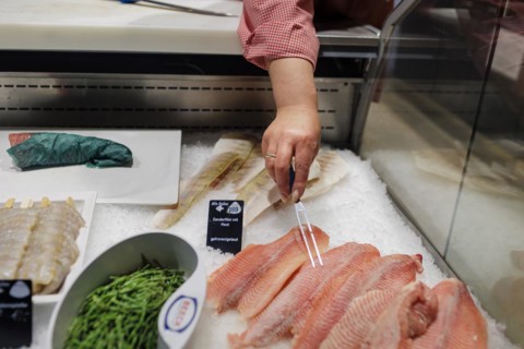 Salicorn algae and Claresse, catfish hybrid from a fish farm and pike-perch fillet, are offered in the supermarket., Radevormwald, Germany, Europe