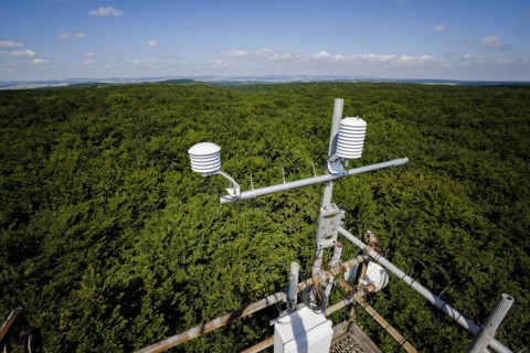 A hygrometer for recording air temperature and relative humidity hangs from a measuring tower of the Northwest German Forest Research Institute above a deciduous forest in Lower Saxony. Here, research...
