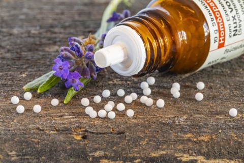 Homeopathic medicine, globules scattered next to a medicinal plant, studio shot, Germany, Europe